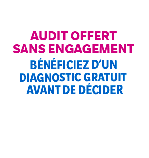 Audit