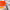 Gestion relation client