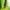 Konica Minolta « Global 100 Most Sustainable Corporations »