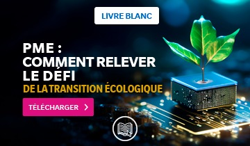 Guide de transition écologique pour PME : pérenniser votre activité